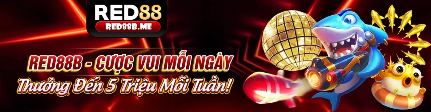 Giao diện ứng dụng New88 trên điện thoại